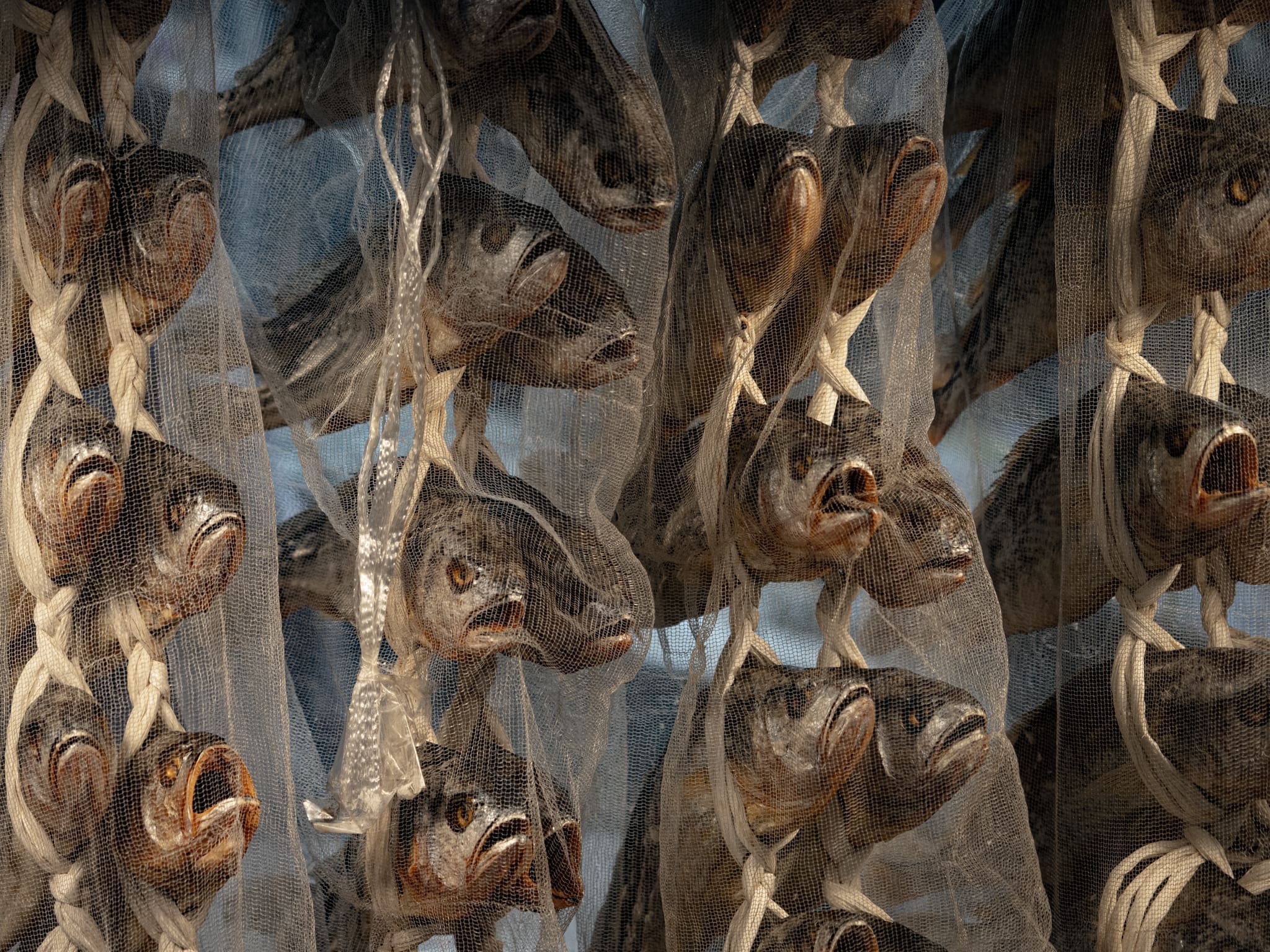 poisson sur étale de marché Coréen