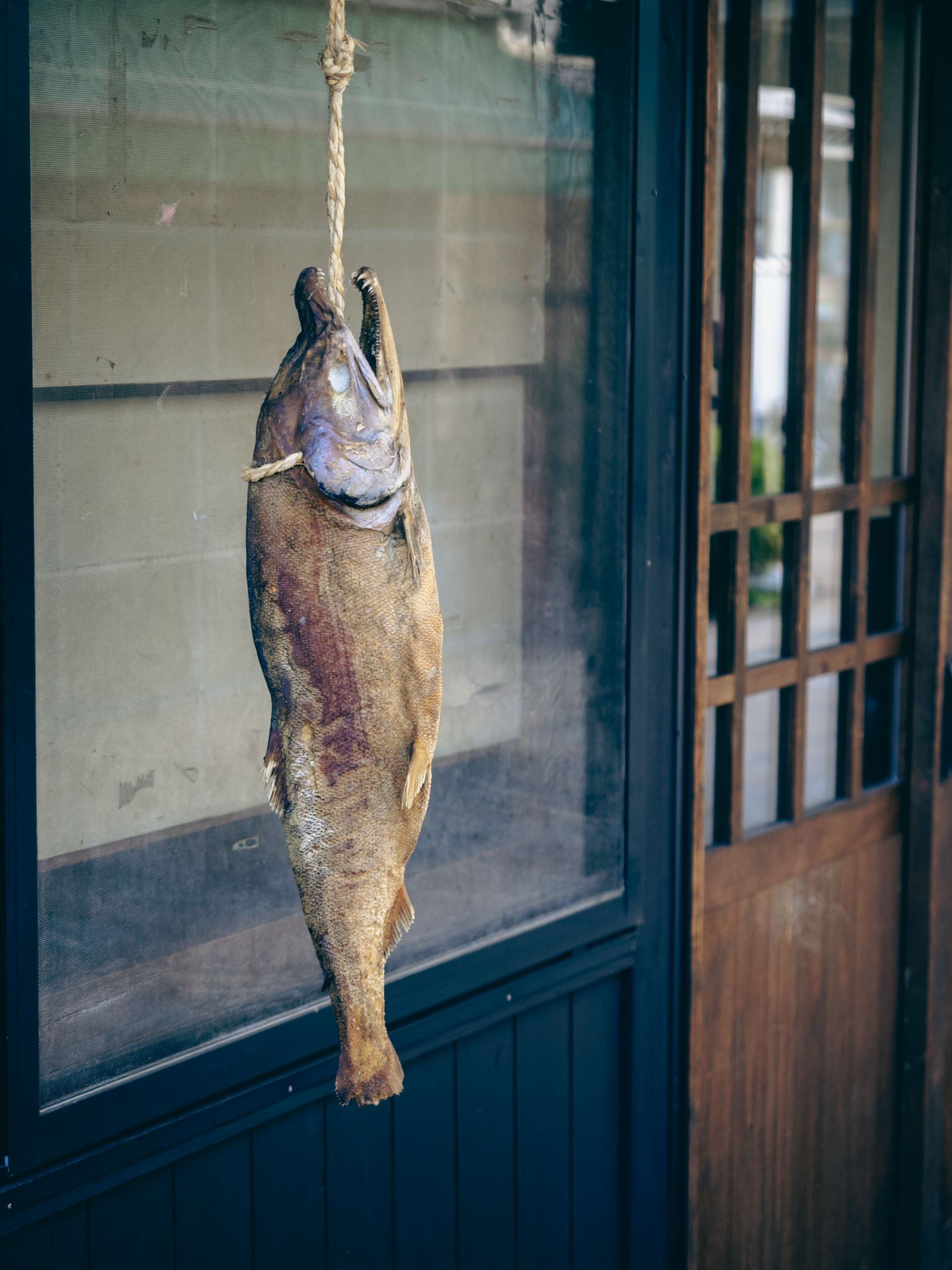 Poisson séchant en pleine rue