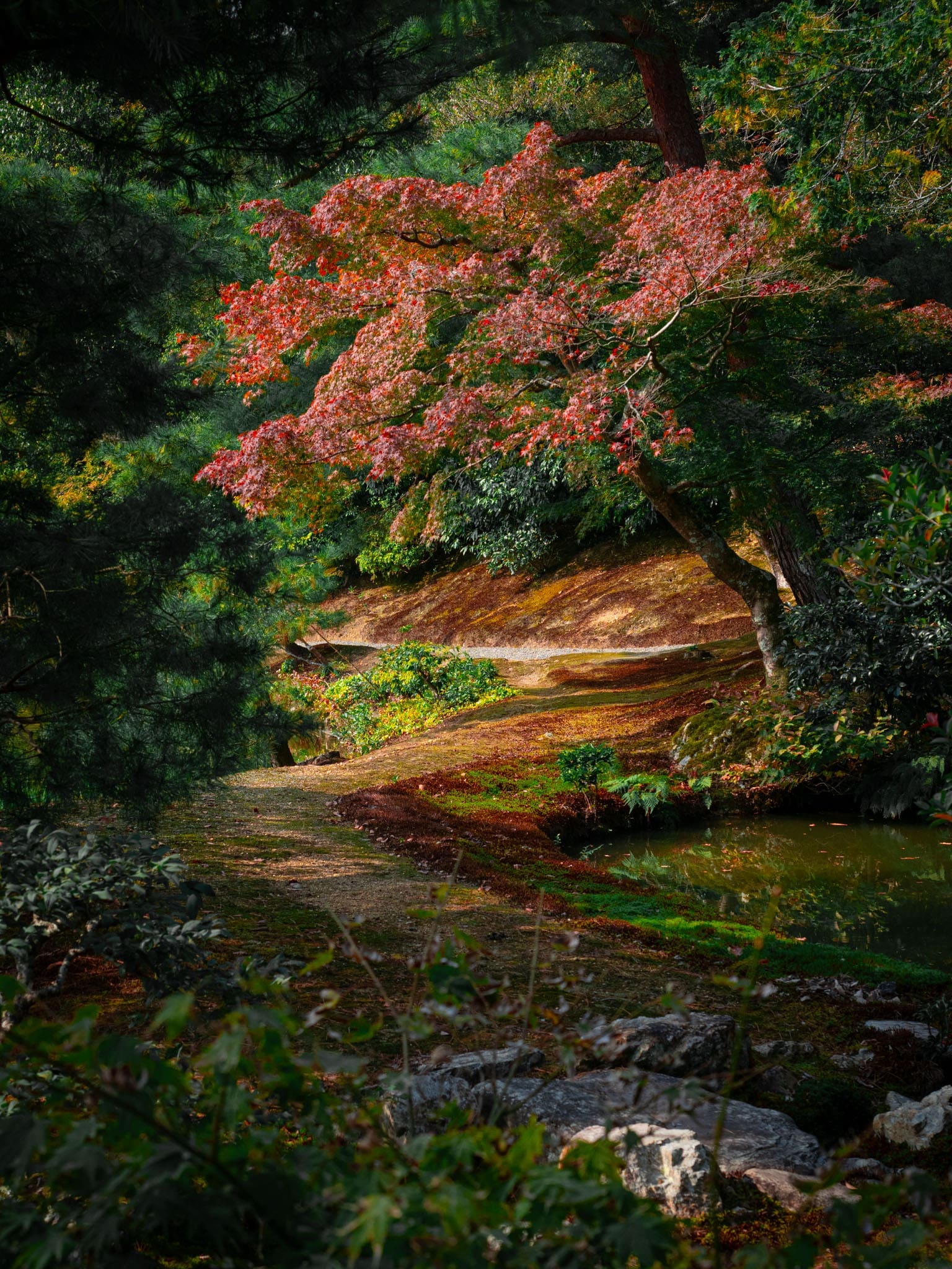 chemin verdoyant Kyoto