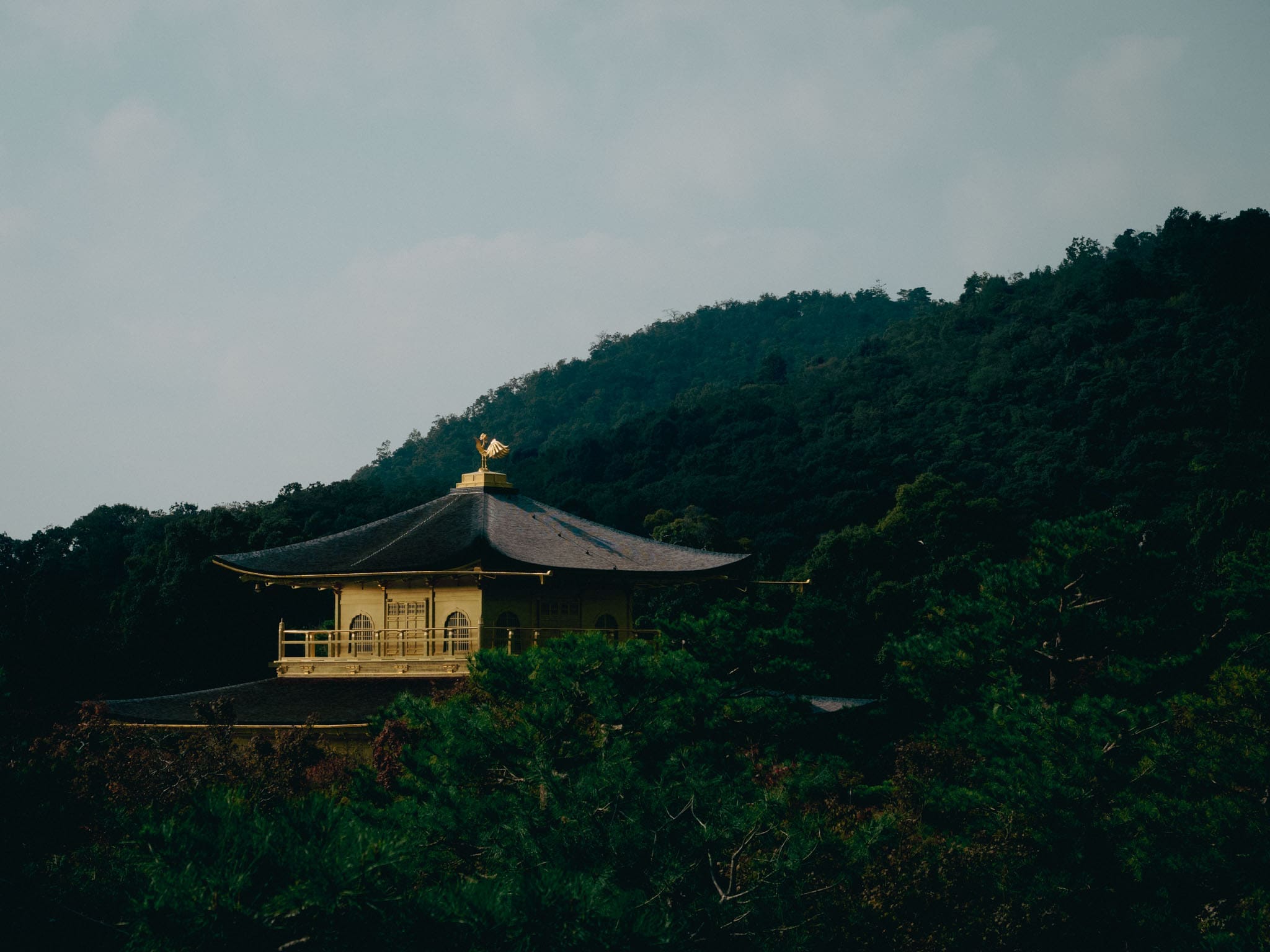 chemin verdoyant Kyoto
