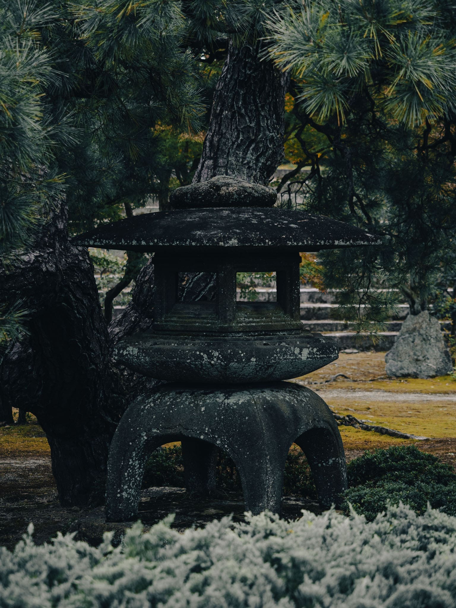 lanterne de pierre dans un jardin japonais