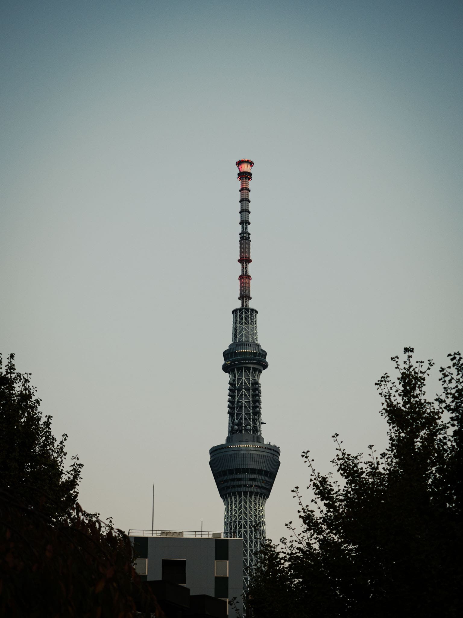Tokyo tower