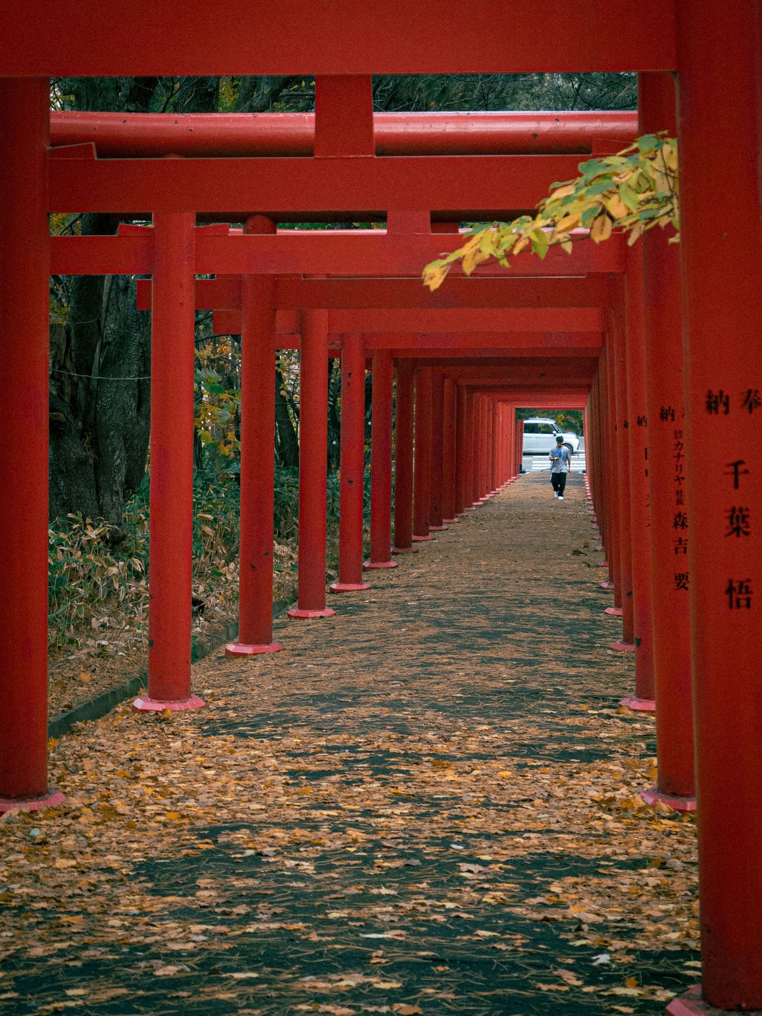 allée de tori, Sapporo