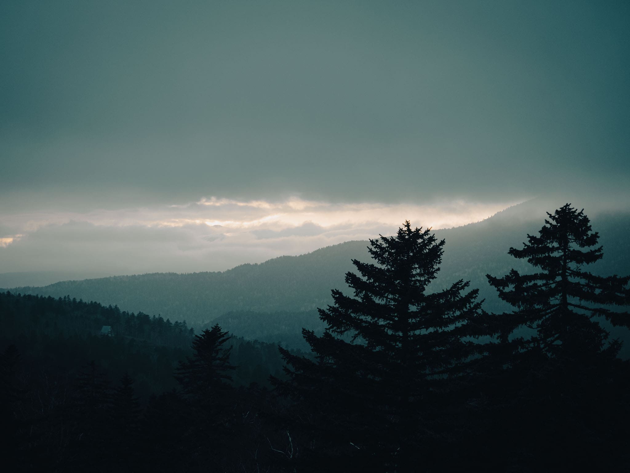 Forêt du parc national d'Akan