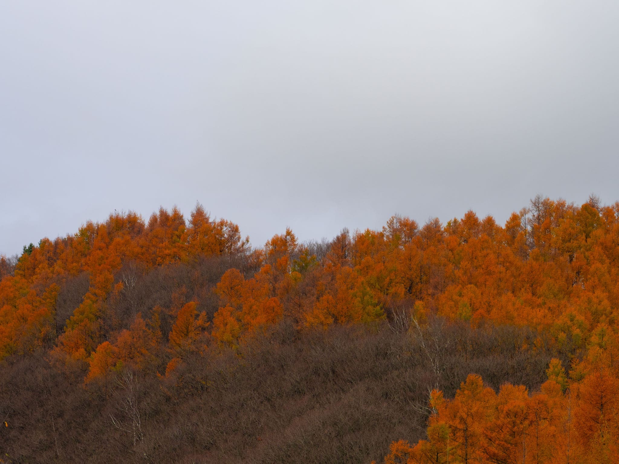 Automne à Hokkaidō