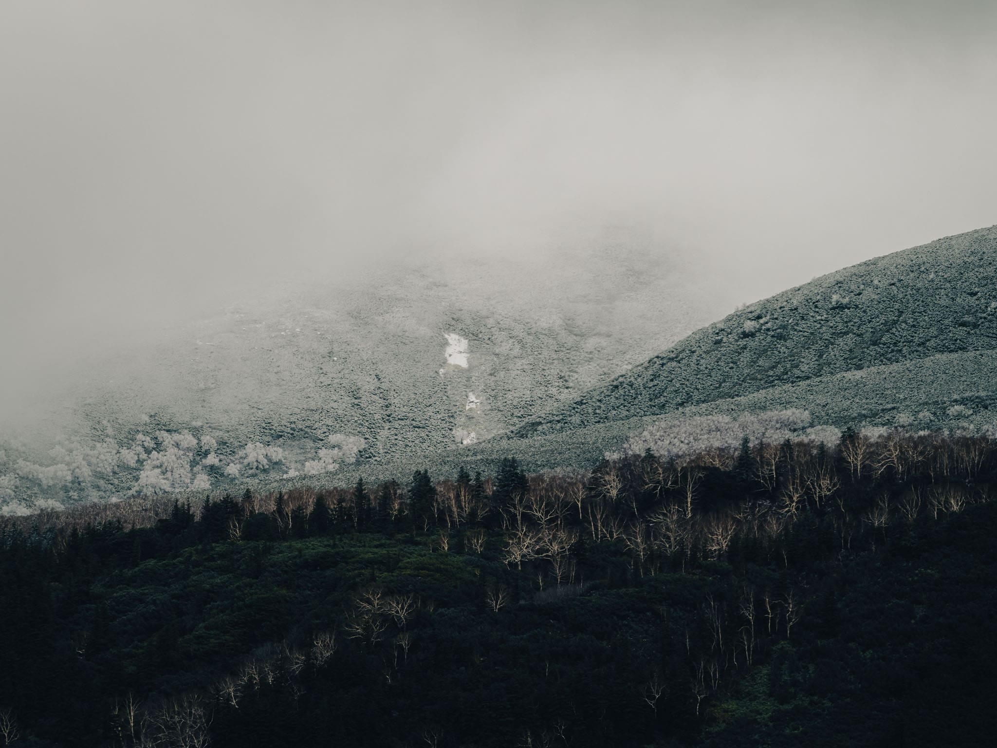 Premières neiges au parc national de Daisetsuzan