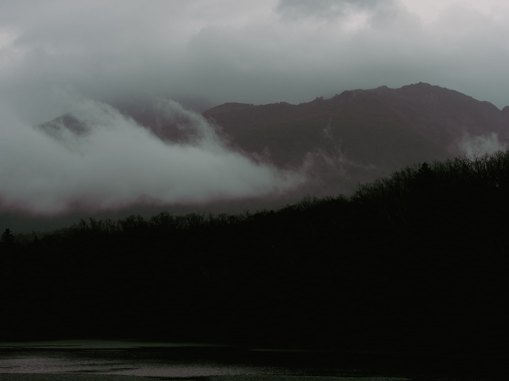 Forêt sur lac japonais
